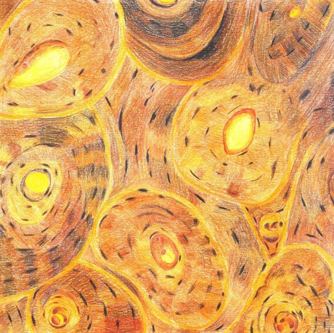 兰大医学生手绘解剖图,南方医科大学学生手绘解剖图