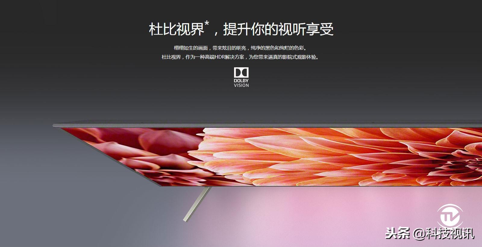 上港第一冠,上港队史出场纪录