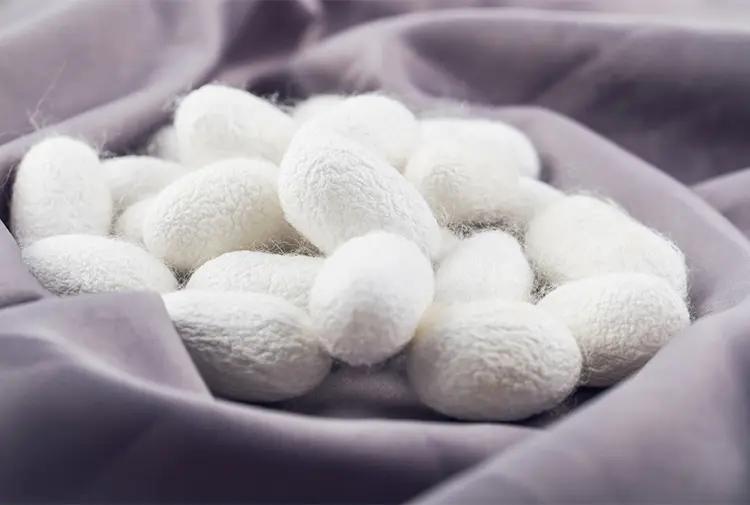 桑蚕丝保暖酷裤子,蚕丝保暖裤100%桑蚕丝不踩脚外穿