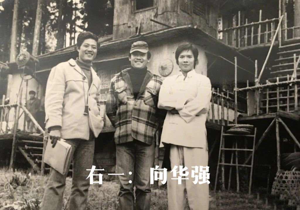 郭碧婷嫁给向佐过得怎么样,郭碧婷嫁向佐是为了什么