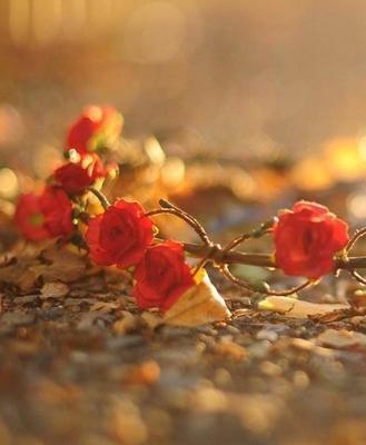 一守千年梦难断,一守千年