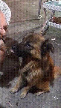 喜欢很久的小哥哥,喜欢了很久的小哥哥