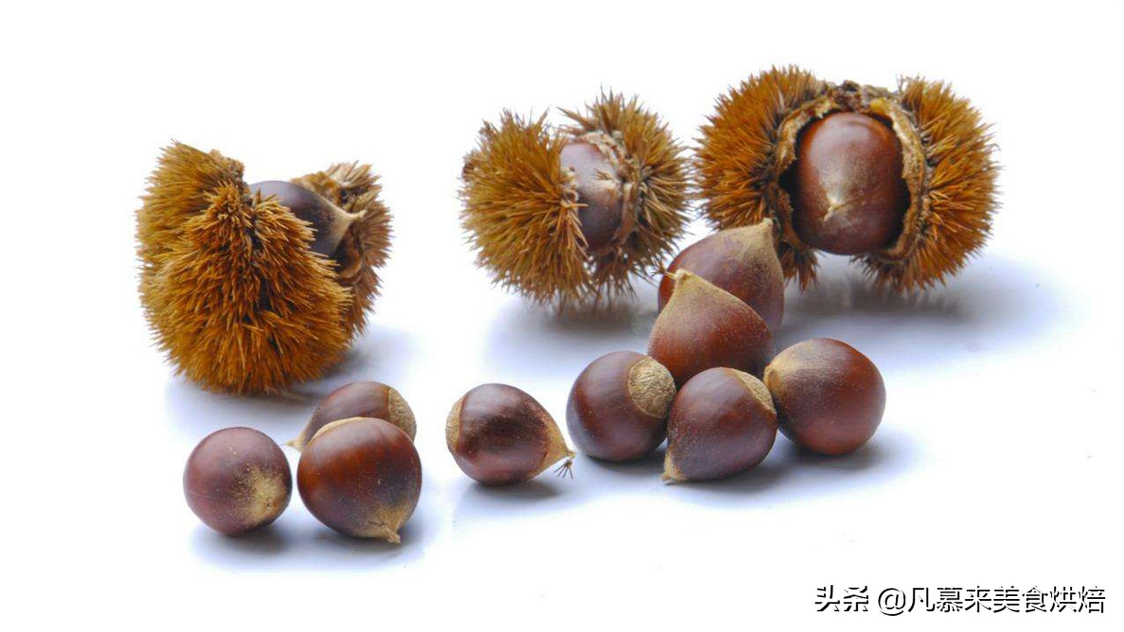 什么样的坚果又好吃又有营养,坚果类有哪些坚果种类