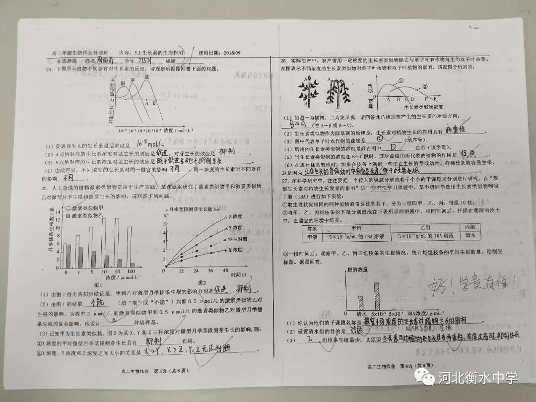 衡水中学学生夸衡中,衡水中学老师批改试卷
