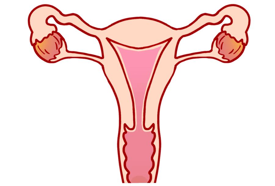 央视女主持人朱迅,艾灸朱迅