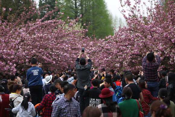 合肥市网红游玩区,合肥网红景点推荐