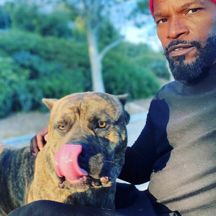 巨石强森和大狗是亲兄弟吗,巨石强森养了什么狗