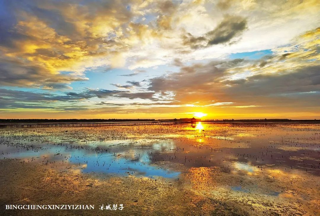 再返富锦，为着那份飘着稻花香的“湿”意约定