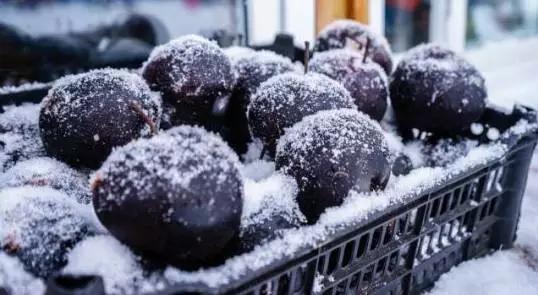 亲子游寒假去哪旅游最好,寒假孩子去哪旅游最好