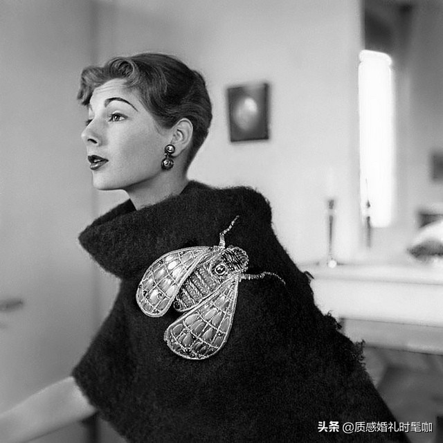 蝗虫算是物种入侵吗,蝗虫是圣甲虫吗