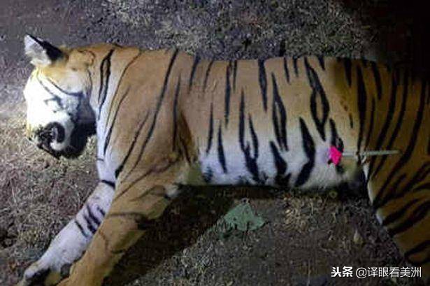 ck鐢峰＋棣欐按鏌戞,ck鐢峰＋棣欐按姝ｅ搧