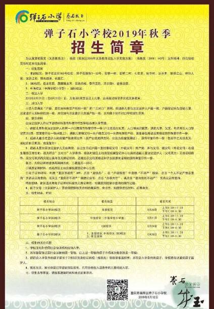 重庆南岸区公立小学学校,重庆南岸区小学排名一览表