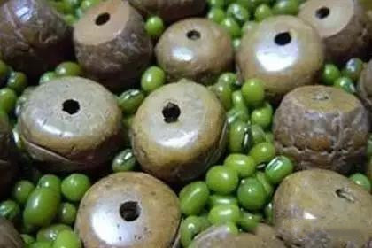 便宜的凤眼菩提能盘出来么,凤眼菩提盘三放三什么意思