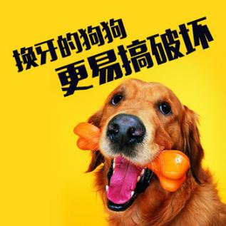 4岁儿童掉了一个虫牙怎么办,毛孩子几个月就掉牙