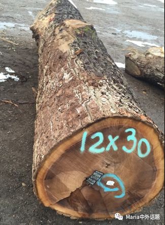 美国硬木干货价格,北美硬木排行