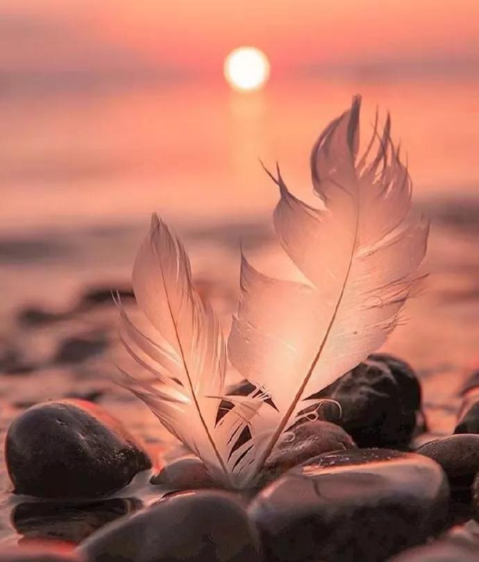 有一种好人比坏人更坏,为什么善良比恶更可怕