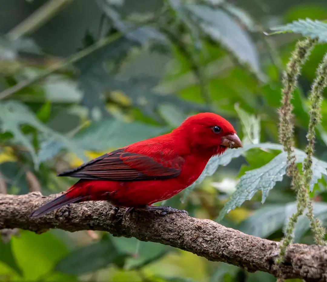 云南淡季旅游线路推荐,云南春季旅行推荐