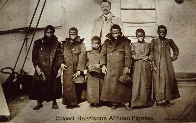 俾格米人身材如侏儒般矮小，为何8岁就能孕育下一代？