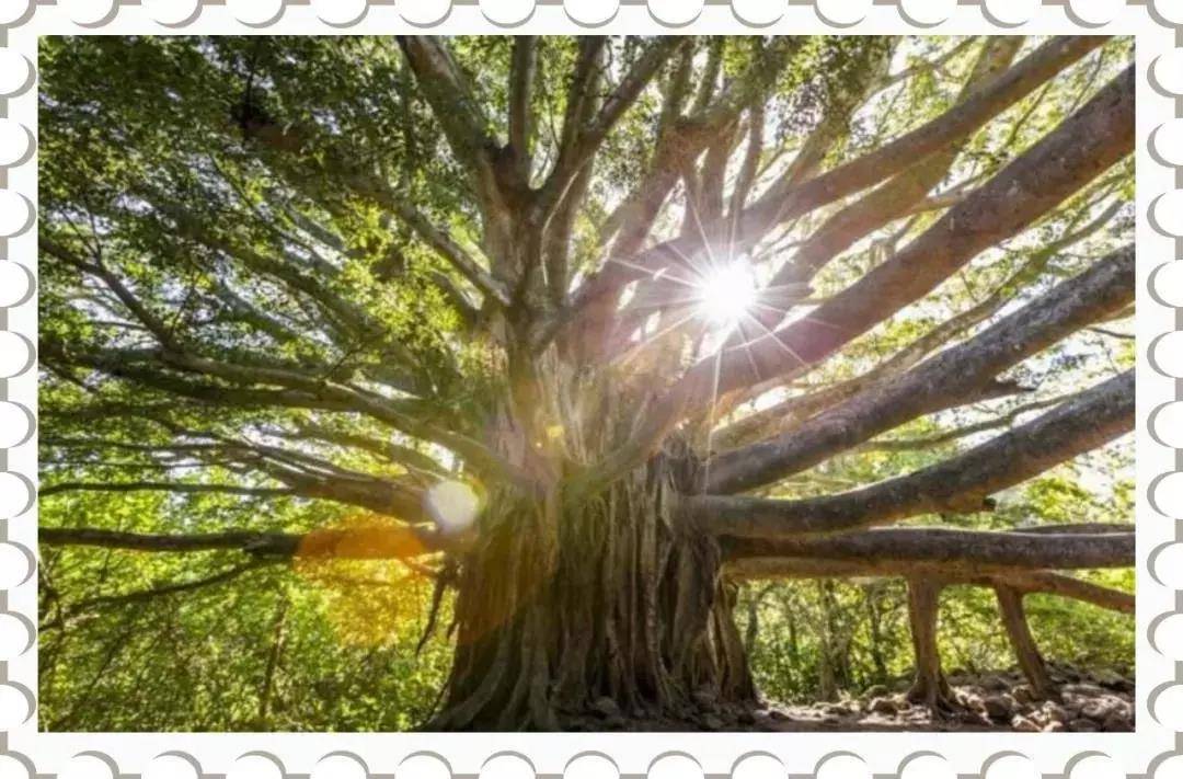 广东周围自驾游民宿推荐,广东旅游民宿推荐肇庆