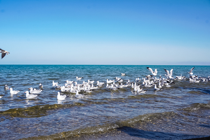 去一趟大西北的旅行,大西北旅行青藏高原