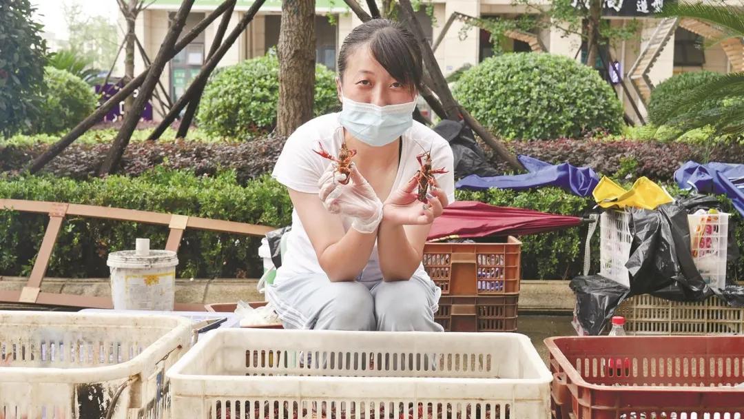 飞来飞去导游,飞来飞去的工作怎样