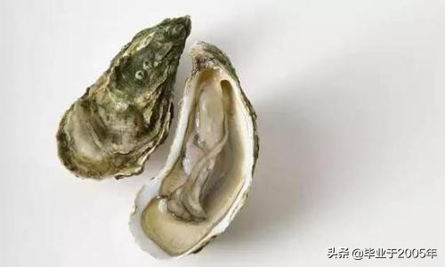 大连鱼市海鲜贝类品种,大连贝类海鲜图片大全