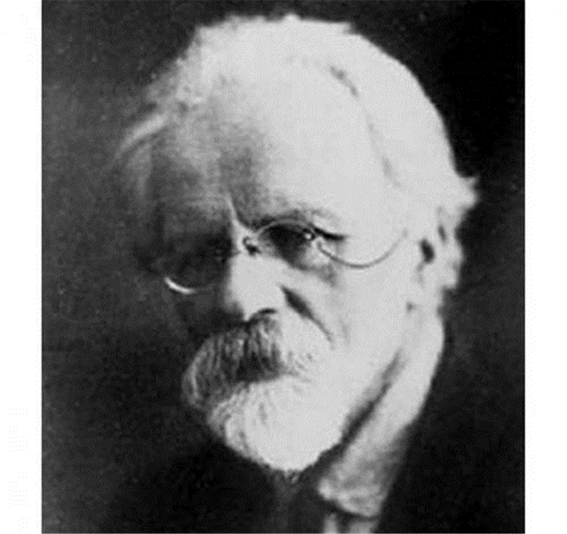 人类和猩猩有共同祖先吗,人类和大猩猩基因相似的原因