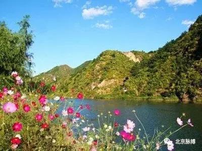 画说回龙观,北京最漂亮的森林公园