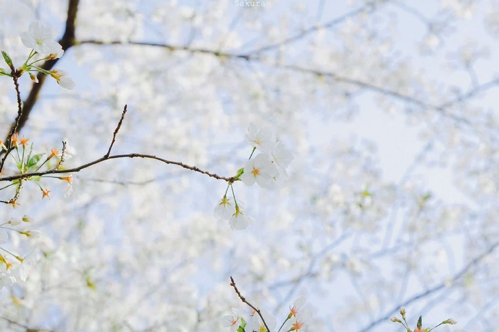 有手段悟性高凡事都能搞定的星座,注定聪明到极致的星座