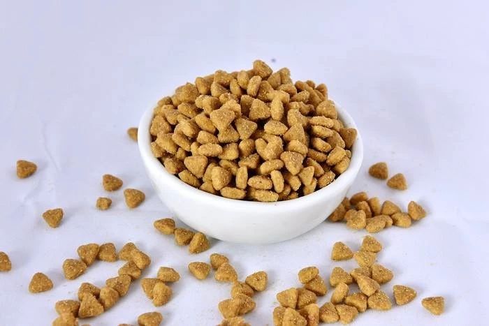 猫粮有必要喂进口的吗,猫吃进口猫粮好还是国产的好