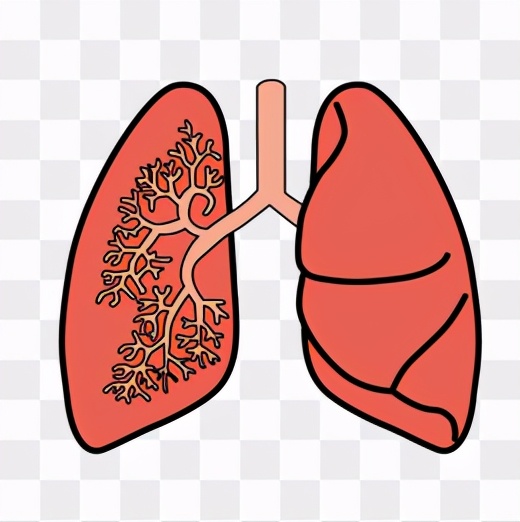 组织器官部分缺失是什么,我们缺失器官可以活多久