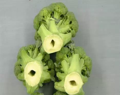 作物缺素口诀,作物营养缺素诊断与科学施肥