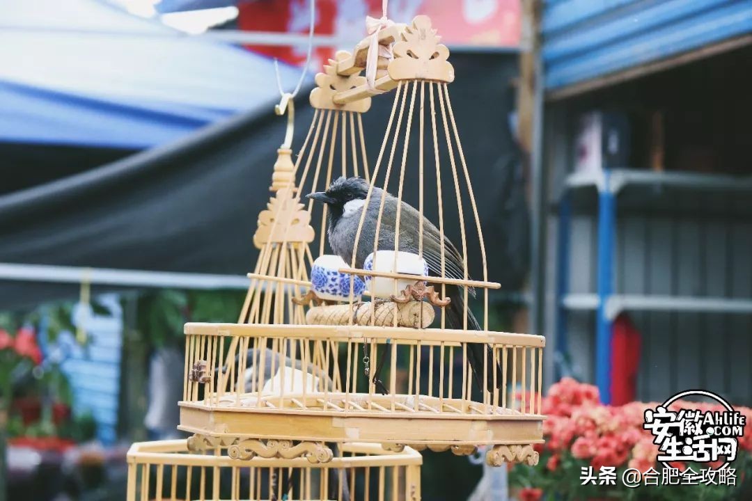 老周谷堆水果批发市场,老周谷堆古玩市场