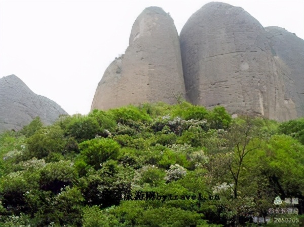 省第三届全民健身运动会暨“我要上全运”第十四届全运会群众赛事活动甘肃代表队乒乓球选拔赛执裁团队公示