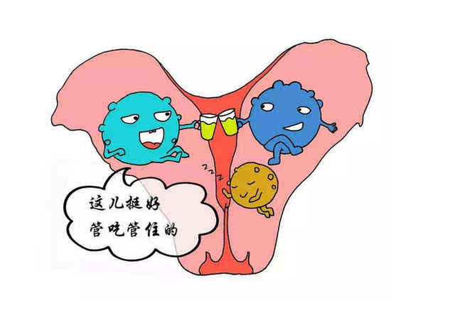 女生天生就没有子宫正常吗,女生天生没有子宫是怎么回事