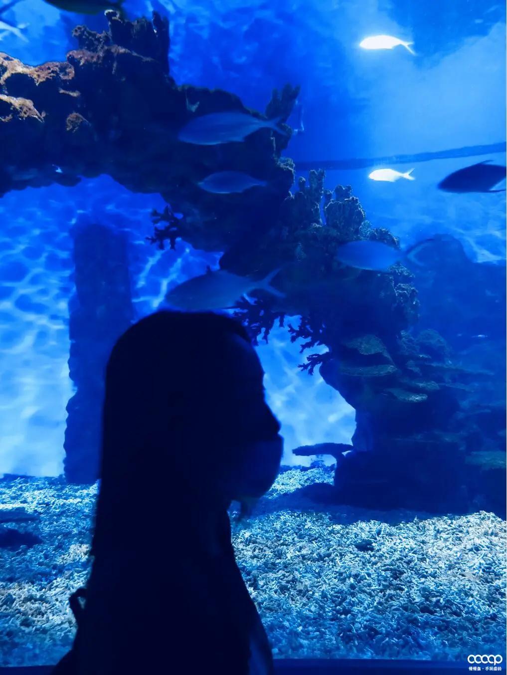 有毒！又一位宝藏小姐姐，玩核桃最爱“马虎”，朋友眼里是奇葩