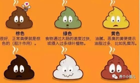 屎多的原因及解决方法,屎次数多的原因及解决方法