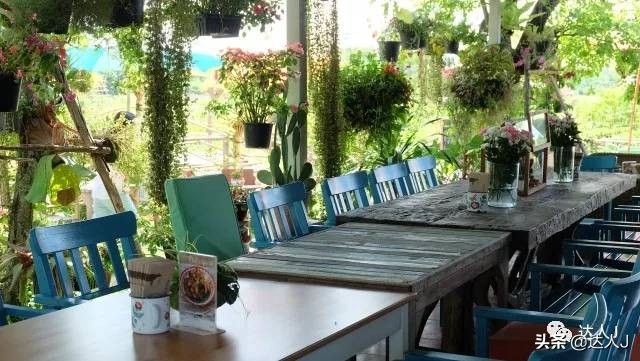 清迈攻略介绍,清迈攻略最全