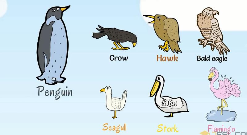 动物英语名称视频大全,兔小贝英语宝典动物名称