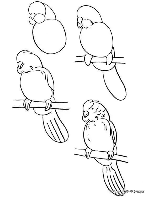 最简单的简笔画教程,超简单儿童简笔画入门初学