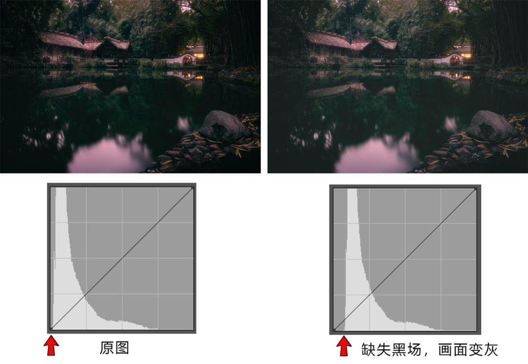 曲线要怎么记容易学得快,曲线难学吗