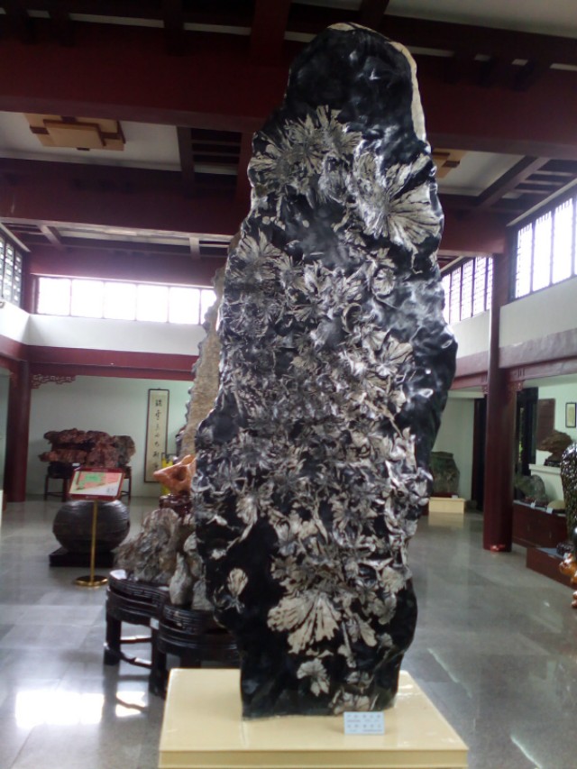 每日一景走进武汉中华奇石馆景区,武汉中华奇石馆有哪些奇石