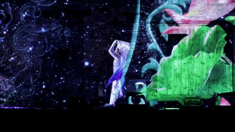 属虎,数虎图像深圳