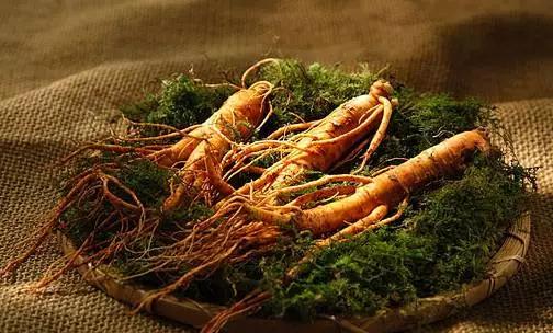 调节身体，要从养血气开始