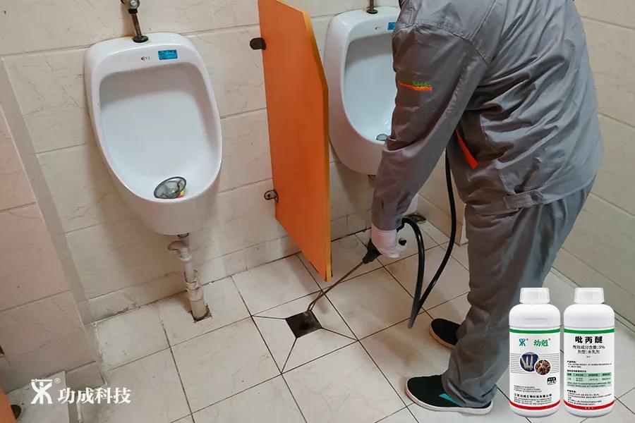 卫生间有小虫蛾蚋怎么治,卫生间出现蛾蚋怎么处理