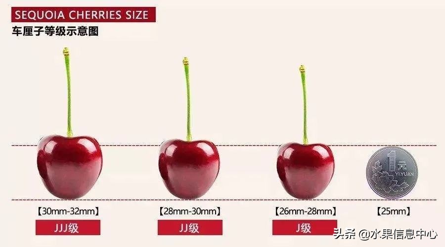 揭秘各种水果批发的价格,批发市场卖水果的技巧