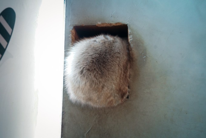 去韩国必买清单,韩国购物攻略衣服