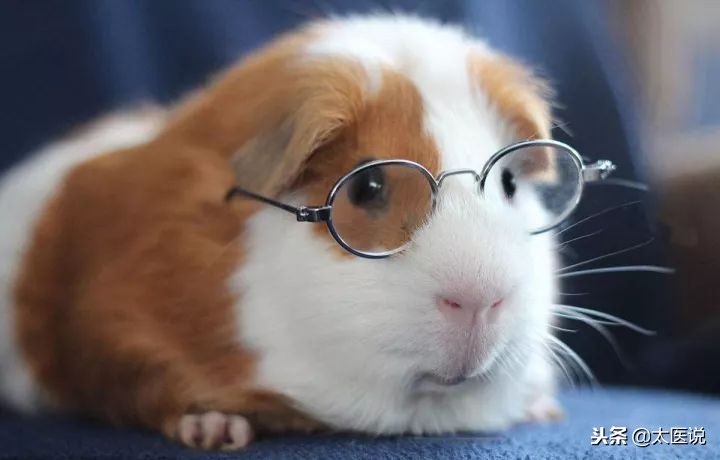 幼儿弱视和斜视的预防和护理,高度近视眼睛斜视怎么预防加深