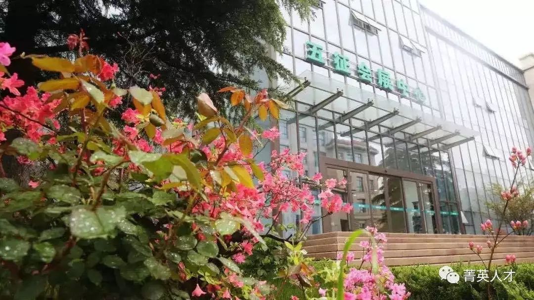 山东五征最新招聘信息,五征厂招聘