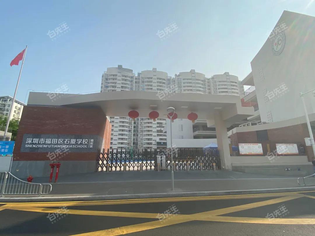 八大录取率名列前茅的二梯队石厦学校,学区房500万起